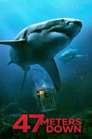 47 Meters Down (2017) 47 ดิ่งลึกเฉียดนรก