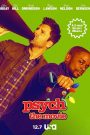 Psych The Movie (2017)