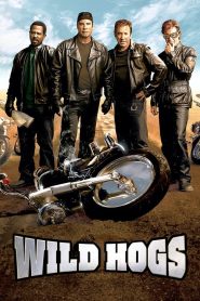 Wild Hogs (2007) สี่เก๋าซิ่งลืมแก่